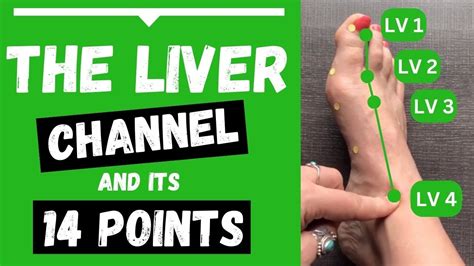 acupressure point liver channel.